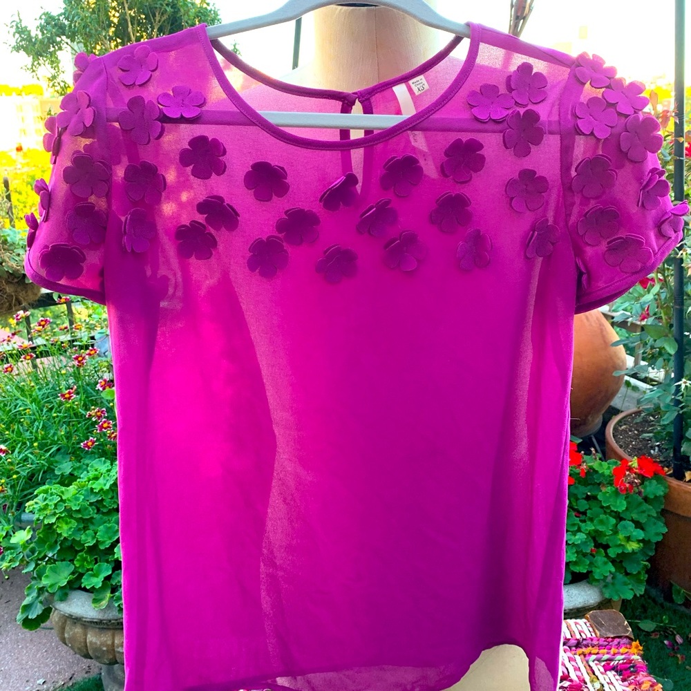 NWOT Women Sheer Blouse